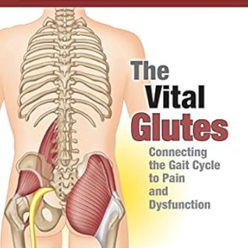 Unlocking Pain Relief: A Comprehensive Review of The Vital Glutes: Connecting the Gait Cycle to Pain and Dysfunction Unlocking Pain Relief: A Comprehensive Review of The Vital Glutes: Connecting the Gait Cycle to Pain and Dysfunction