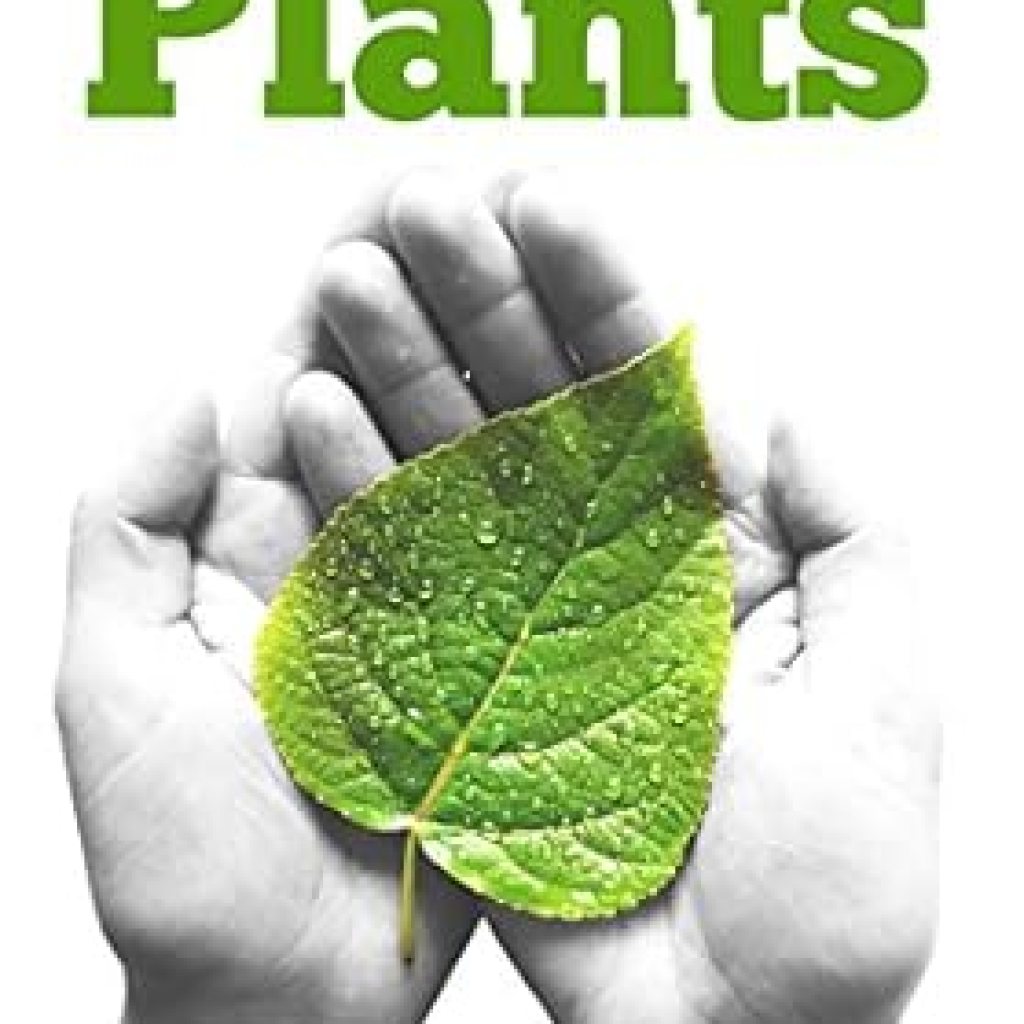 Discover the Healing Power of Nature: A Comprehensive Review of ‘Medicinal Plants: The Ultimate Guide to Medical Plants that Heal’ from Amazon Discover the Healing Power of Nature: A Comprehensive Review of ‘Medicinal Plants: The Ultimate Guide to Medical Plants that Heal’ from Amazon
