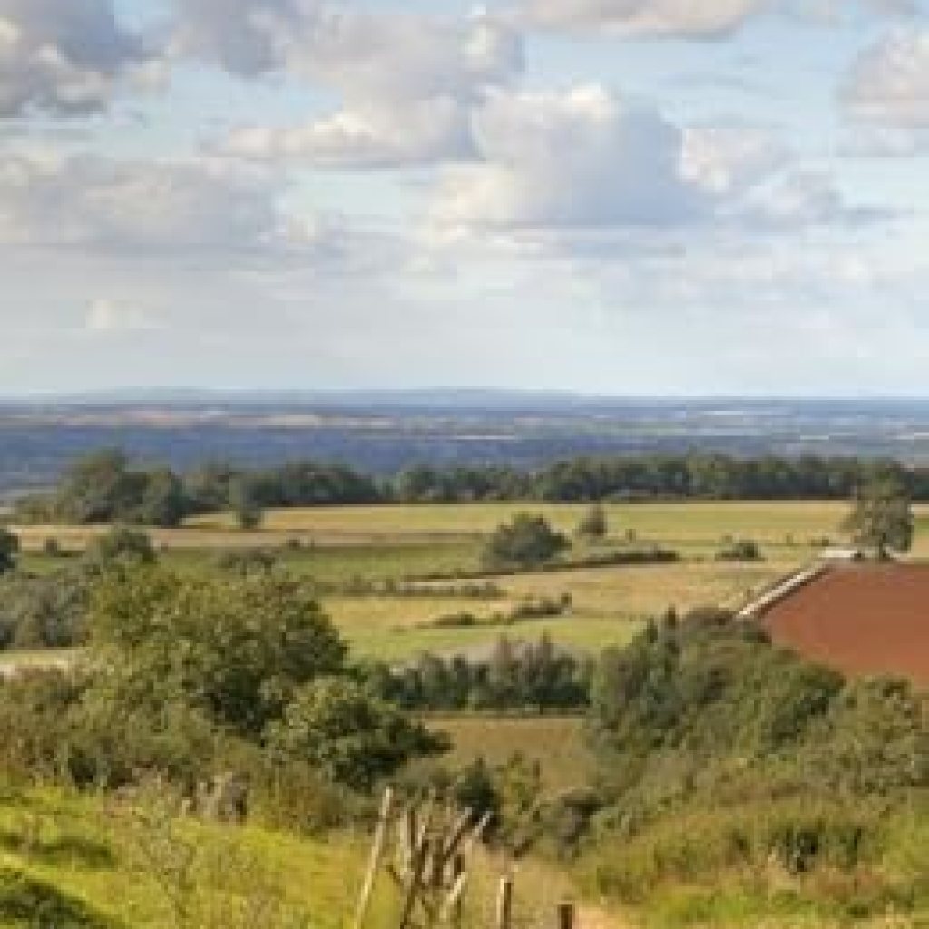 Discover the Heartwarming Adventures in The Young Country Doctor Book 7: Bilbury Pudding – A Must-Read for Fans of Charming Medical Tales! Discover the Heartwarming Adventures in The Young Country Doctor Book 7: Bilbury Pudding – A Must-Read for Fans of Charming Medical Tales!