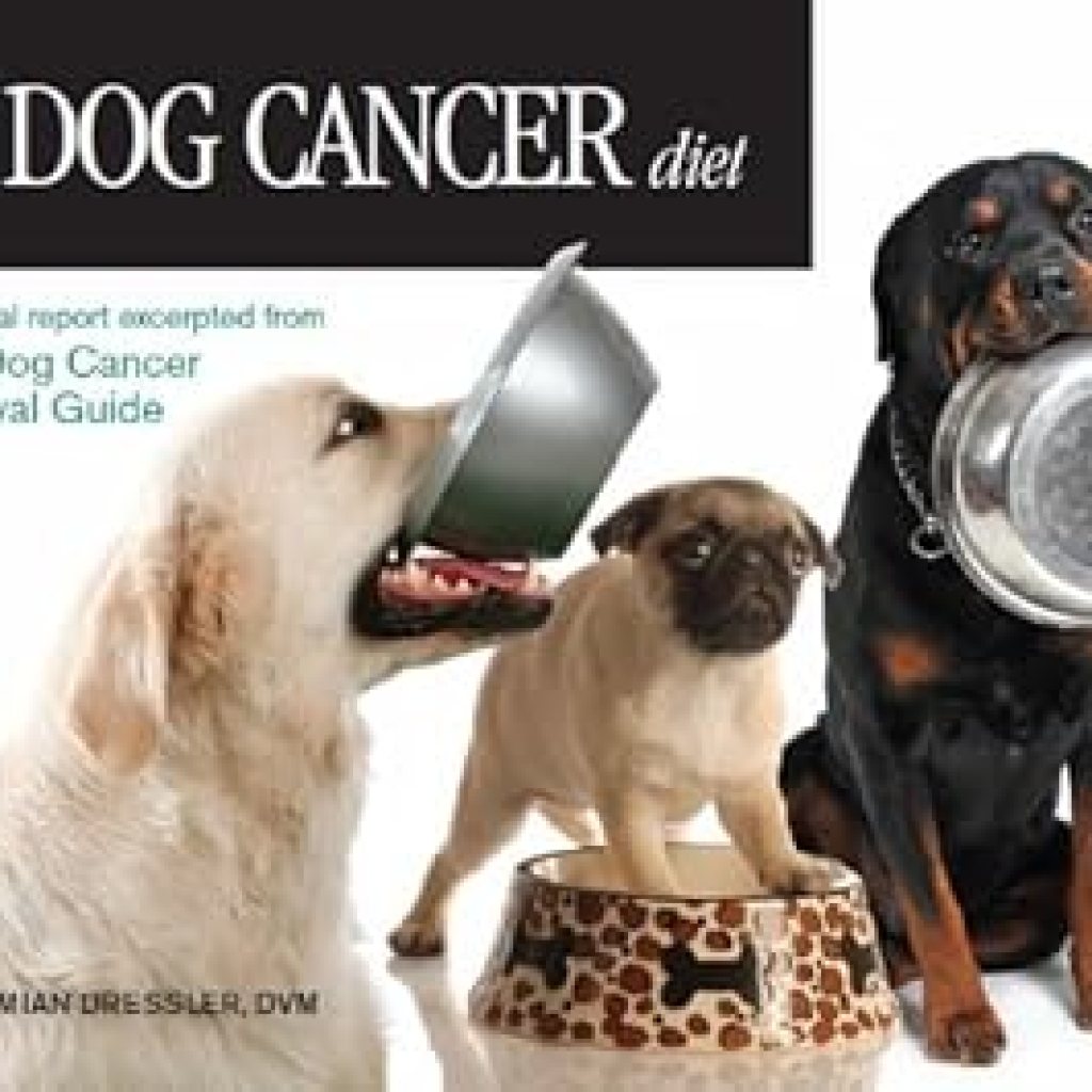Transform Your Dog’s Health: A Comprehensive Review of The Dog Cancer Diet Transform Your Dog’s Health: A Comprehensive Review of The Dog Cancer Diet
