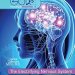 Discover the Secrets of Your Body: A Fascinating Review of The Electrifying Nervous System (God’s Wondrous Machine) Discover the Secrets of Your Body: A Fascinating Review of The Electrifying Nervous System (God’s Wondrous Machine)