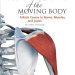 Unlock Your Understanding of Human Anatomy: A Comprehensive Review of ‘Anatomy of the Moving Body, Second Edition: A Basic Course in Bones, Muscles, and Joints’ Unlock Your Understanding of Human Anatomy: A Comprehensive Review of ‘Anatomy of the Moving Body, Second Edition: A Basic Course in Bones, Muscles, and Joints’