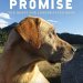 Discover the Secrets to Canine Longevity in Our Compelling Review of Pukka’s Promise: The Quest for Longer-Lived Dogs Discover the Secrets to Canine Longevity in Our Compelling Review of Pukka’s Promise: The Quest for Longer-Lived Dogs