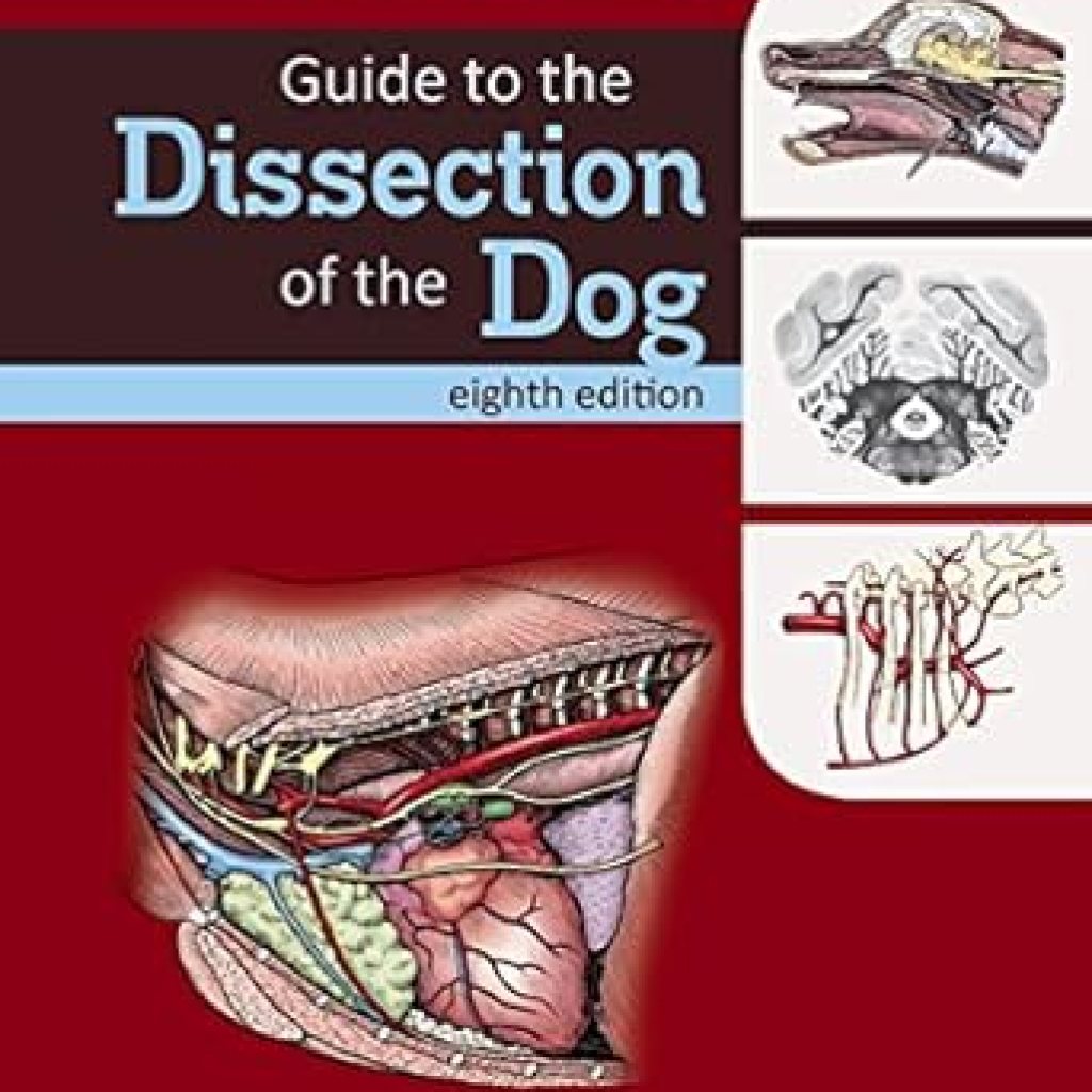 Essential Insights: A Comprehensive Review of ‘Guide to the Dissection of the Dog – E-Book (.Net Developers)’ Essential Insights: A Comprehensive Review of ‘Guide to the Dissection of the Dog – E-Book (.Net Developers)’