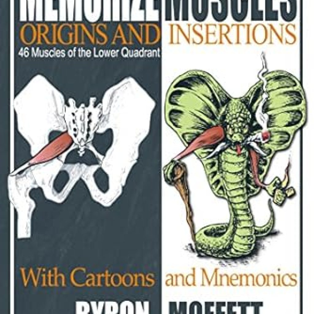 Unlock Your Anatomy Mastery: A Comprehensive Review of ‘Memorize Muscles, Origins, and Insertions with Cartoons and Mnemonics: 46 Muscles of the Lower Quadrant’ Unlock Your Anatomy Mastery: A Comprehensive Review of ‘Memorize Muscles, Origins, and Insertions with Cartoons and Mnemonics: 46 Muscles of the Lower Quadrant’