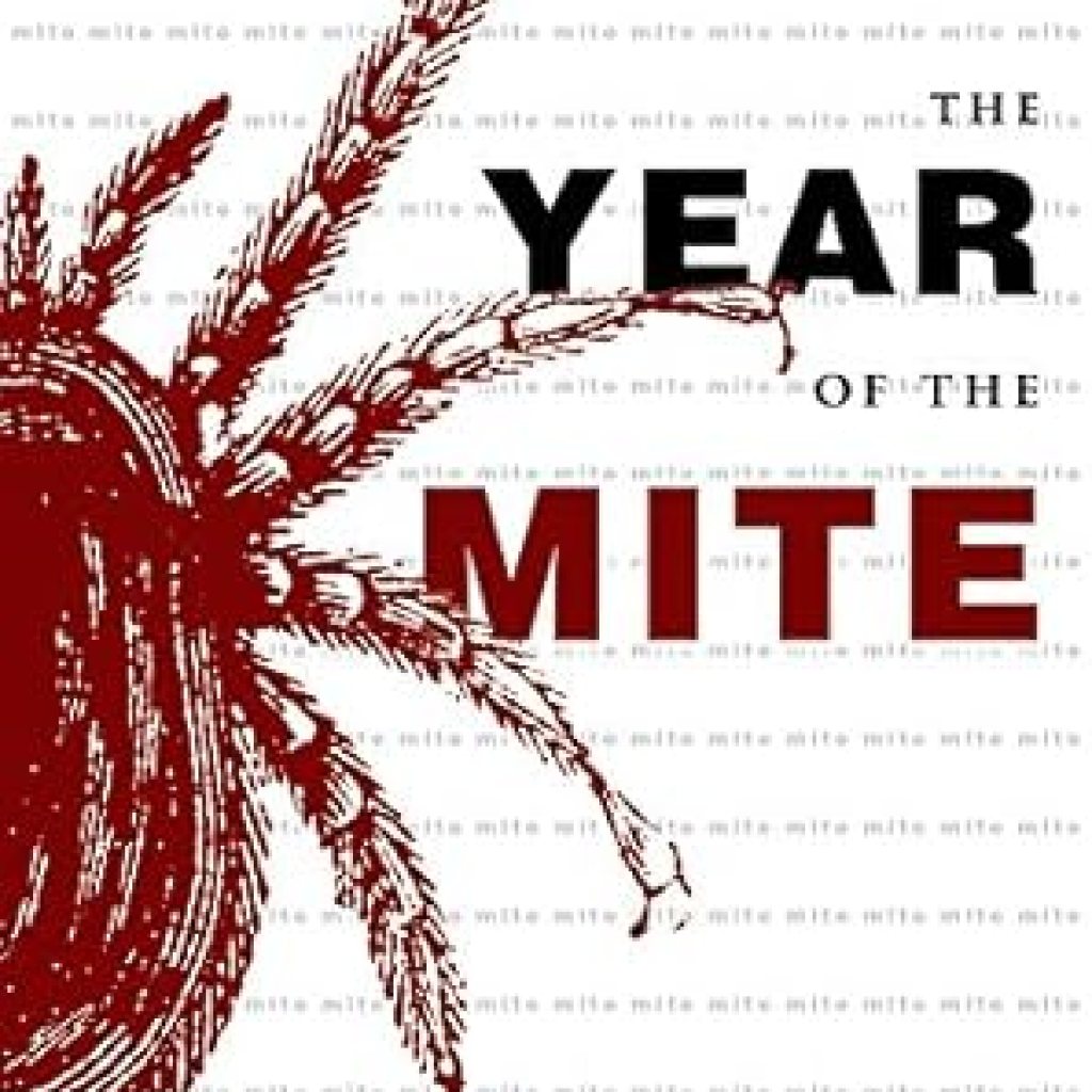 Discover the Intriguing World of ‘The Year of the Mite’: A Captivating Review of This Must-Read Novel Discover the Intriguing World of ‘The Year of the Mite’: A Captivating Review of This Must-Read Novel