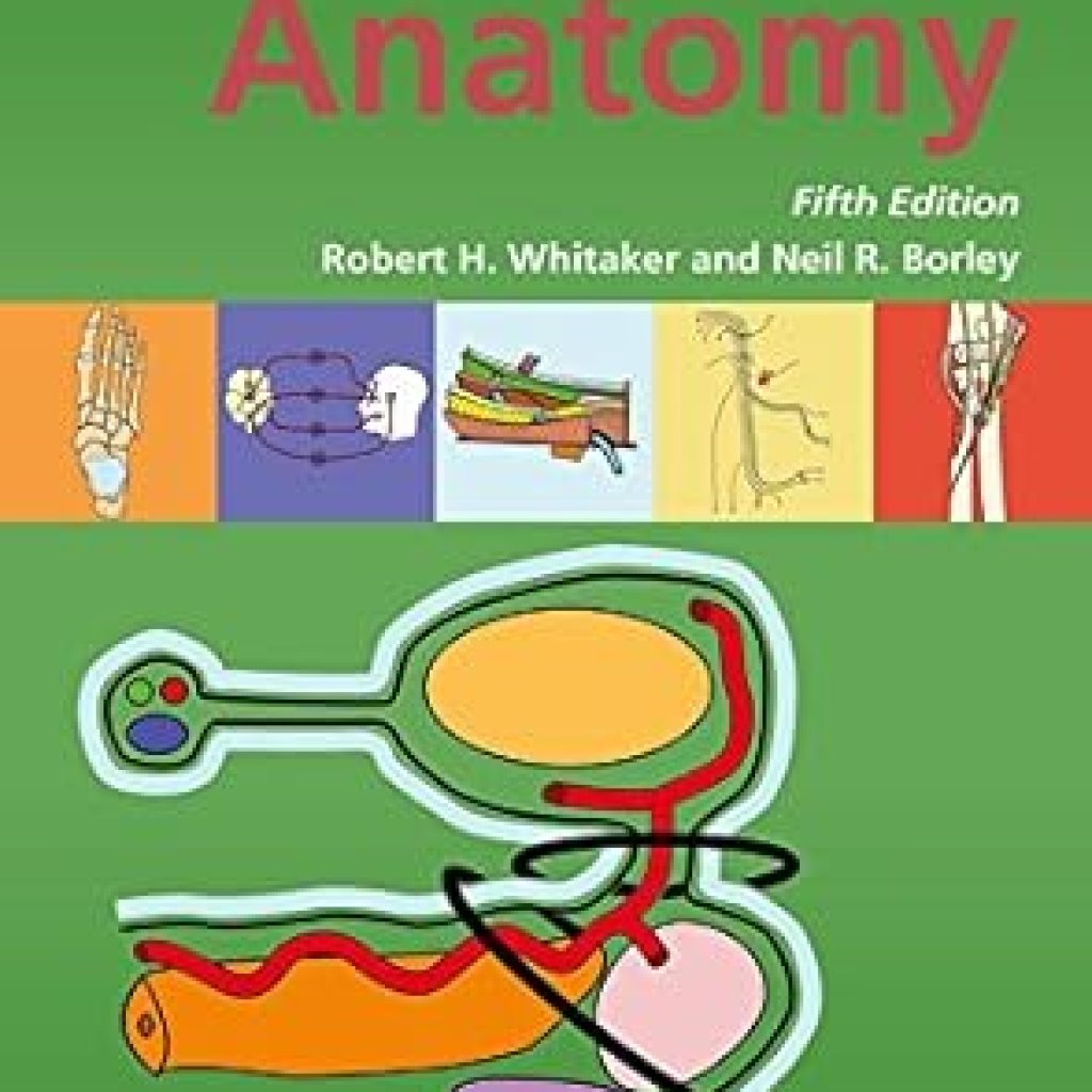 Discover the Secrets of Human Anatomy: An In-Depth Review of Instant Anatomy Discover the Secrets of Human Anatomy: An In-Depth Review of Instant Anatomy