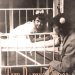 An Inspiring Journey of Resilience: The Baby’s Cross – A Tuberculosis Survivor’s Memoir An Inspiring Journey of Resilience: The Baby’s Cross – A Tuberculosis Survivor’s Memoir