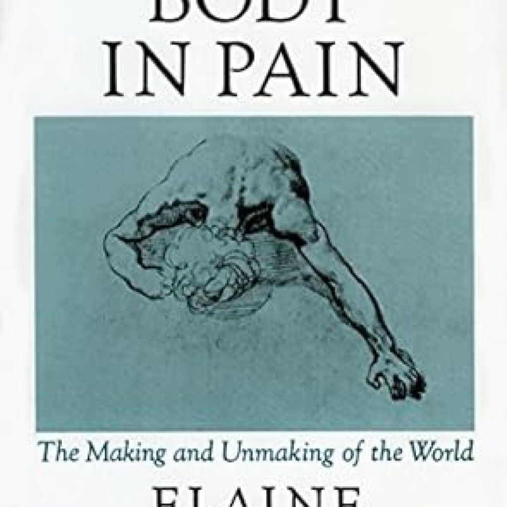 An Eye-Opening Exploration: The Body in Pain: The Making and Unmaking of the World An Eye-Opening Exploration: The Body in Pain: The Making and Unmaking of the World