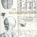 Discover the Secrets to Well-Being: A Review of The Balance Within: The Science Connecting Health and Emotions Discover the Secrets to Well-Being: A Review of The Balance Within: The Science Connecting Health and Emotions
