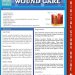 Essential Insights: A Comprehensive Review of Wound Care (Speedy Study Guides) for Effective Treatment Strategies Essential Insights: A Comprehensive Review of Wound Care (Speedy Study Guides) for Effective Treatment Strategies