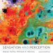 Discover the Intricacies of Human Experience: A Comprehensive Review of ‘Sensation and Perception’ Discover the Intricacies of Human Experience: A Comprehensive Review of ‘Sensation and Perception’