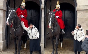 King’s Guard shouts at woman for touching his horse but she does it again ! King’s Guard shouts at woman for touching his horse but she does it again !