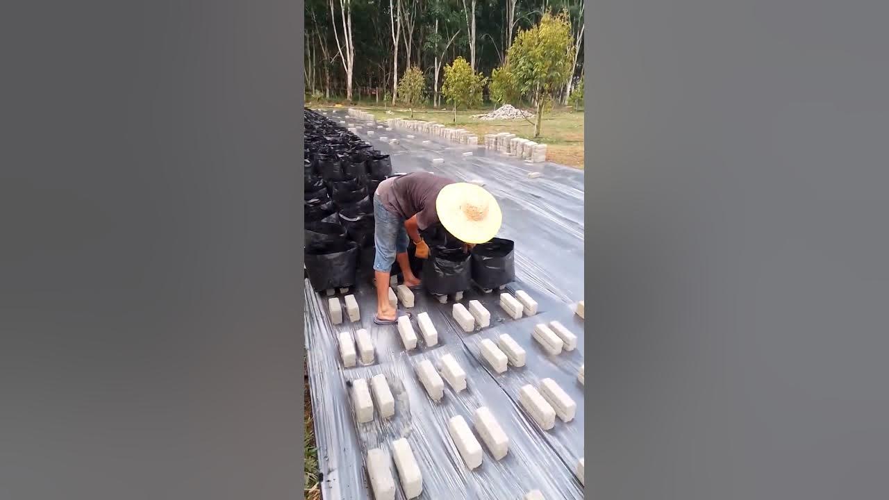 Mengenal Panjang Hollow Baja Ringan dan Aplikasinya untuk Konstruksi Rumah Mengenal Panjang Hollow Baja Ringan dan Aplikasinya untuk Konstruksi Rumah