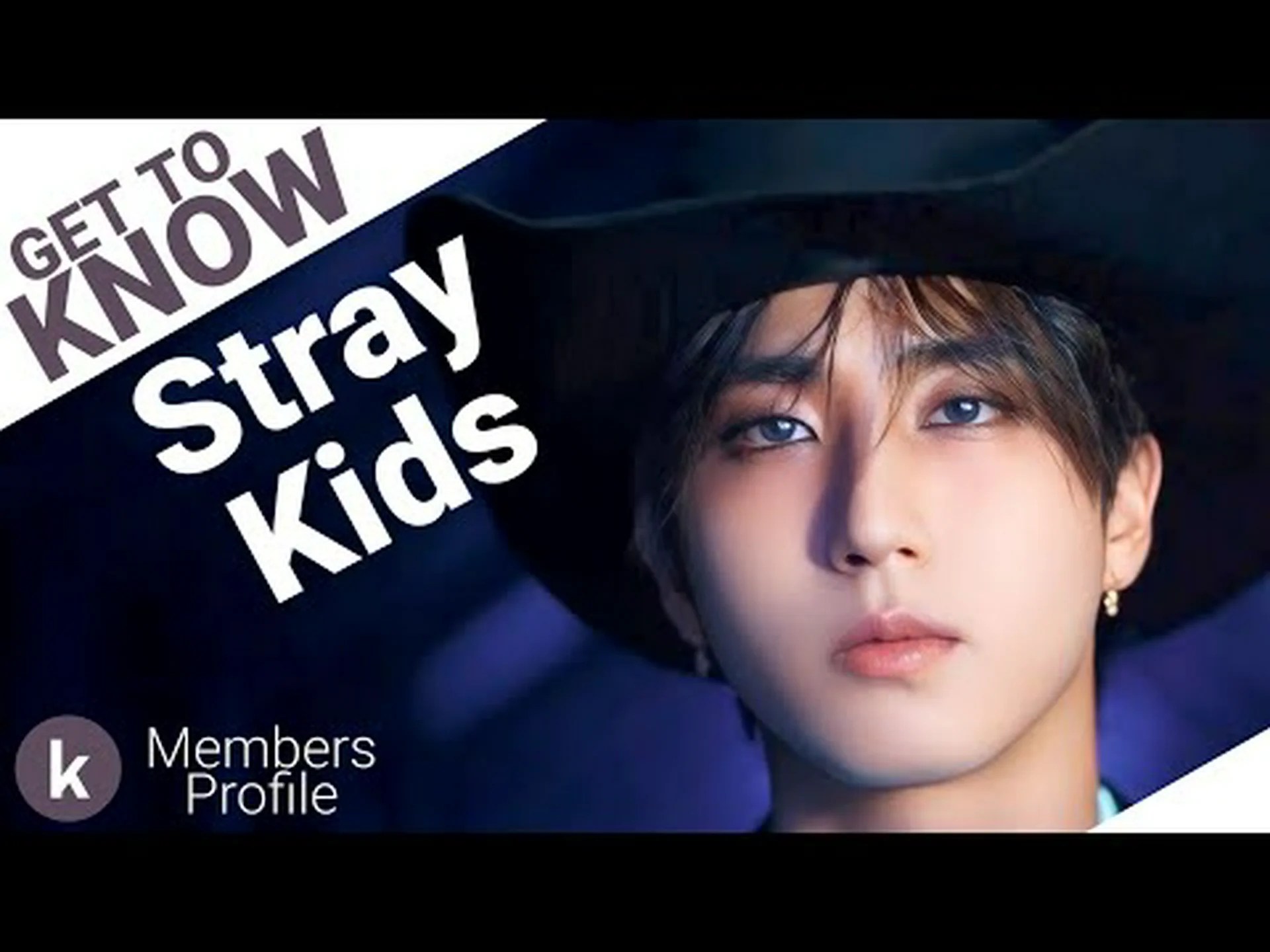 Stray Kids profile Stray Kids profile