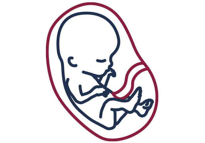 Entscheidungen über Leben und Tod – Embryonenschutz, Organspende, Suizidbegleitung Entscheidungen über Leben und Tod – Embryonenschutz, Organspende, Suizidbegleitung