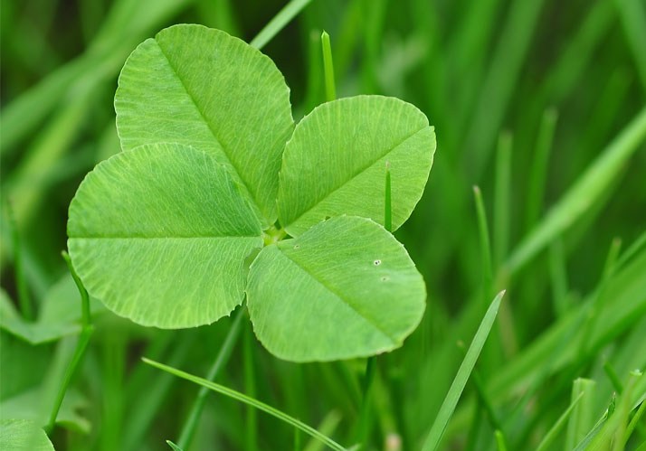 Symposium Kortizes 2019 | Dirigenten des Glücks – Körper, Zeit und Grenznutzen Symposium Kortizes 2019 | Dirigenten des Glücks – Körper, Zeit und Grenznutzen