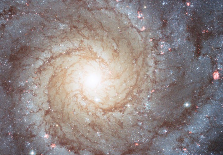 Physik-Symposium 2019 | Kontroversen um Universen: Sind Multiversum-Szenarien ein legitimer Teil der Wissenschaft? Physik-Symposium 2019 | Kontroversen um Universen: Sind Multiversum-Szenarien ein legitimer Teil der Wissenschaft?