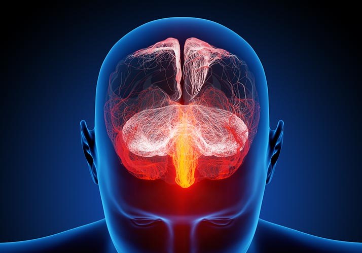 Fenster ins Gehirn – Wie unsere Gedanken entstehen und wie man sie lesen kann Fenster ins Gehirn – Wie unsere Gedanken entstehen und wie man sie lesen kann