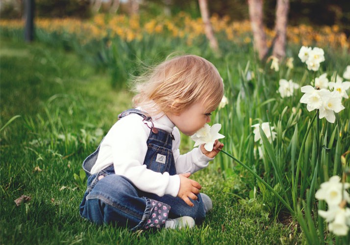 Intelligenz entsteht in der Nase – zur Bedeutung der chemischen Kommunikation beim Menschen | Live online Intelligenz entsteht in der Nase – zur Bedeutung der chemischen Kommunikation beim Menschen | Live online