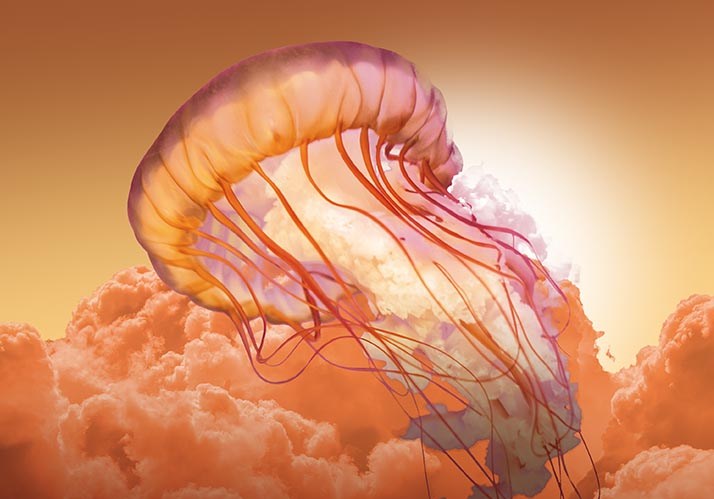 Copernicus-Symposium | Komplexes Leben im Universum? Copernicus-Symposium | Komplexes Leben im Universum?