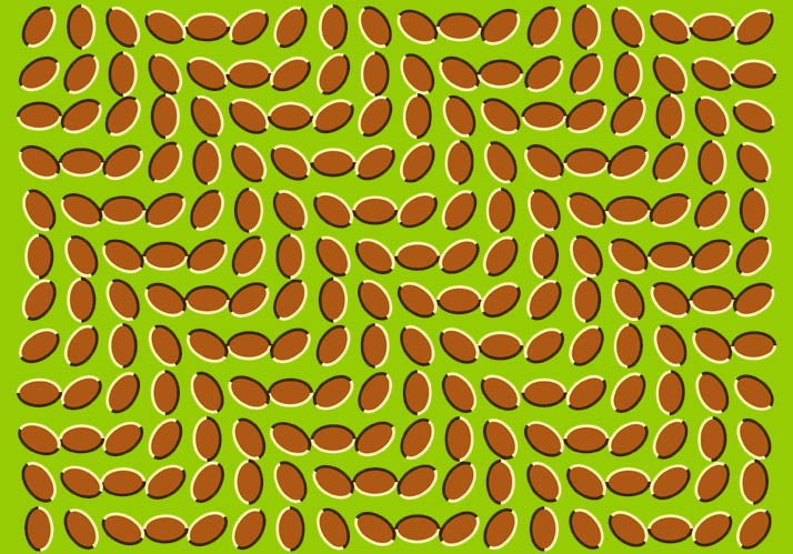 Sehphänomene als Wahrnehmungstäuschungen – Die Hypothesen des Gehirns und warum sie manchmal falsch sind Sehphänomene als Wahrnehmungstäuschungen – Die Hypothesen des Gehirns und warum sie manchmal falsch sind