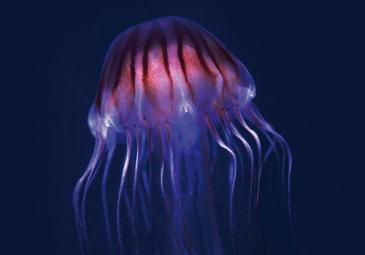 Lange Nacht der Wissenschaften 2022 Lange Nacht der Wissenschaften 2022