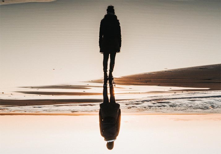 Philosophie des Geistes und der Kognition – Eine Einführung Philosophie des Geistes und der Kognition – Eine Einführung