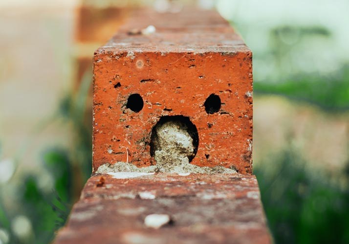 Die Evolution der Wahrnehmung – Vom Reiz der Sinne zum Erleben der Welt Die Evolution der Wahrnehmung – Vom Reiz der Sinne zum Erleben der Welt