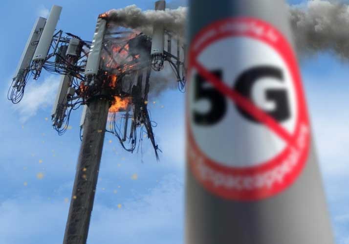 Die Evolution der Erkenntnis – wissenschaftlich statt quer denken Die Evolution der Erkenntnis – wissenschaftlich statt quer denken