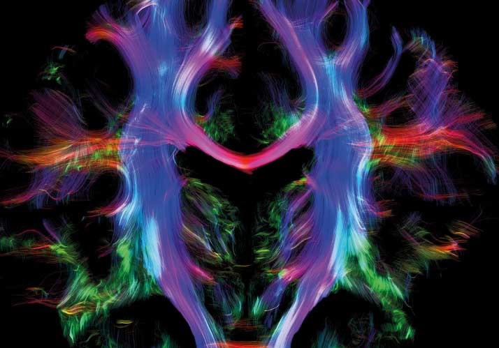 brainWEEK | Kognitive Karten – Wie das Gehirn Wissen organisiert brainWEEK | Kognitive Karten – Wie das Gehirn Wissen organisiert