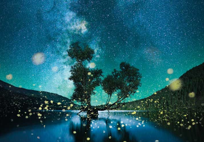 Aus Allem Eins und aus Einem Alles – Warum eine antike Idee die Zukunft der Physik ist Aus Allem Eins und aus Einem Alles – Warum eine antike Idee die Zukunft der Physik ist