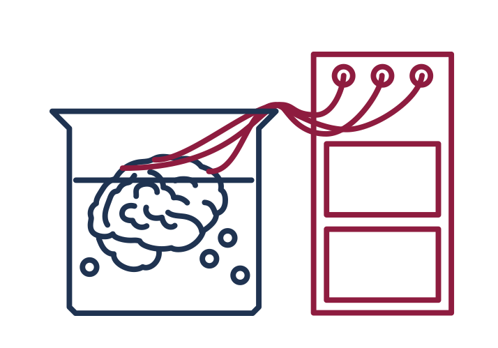 Verschwörungstheorien philosophisch betrachtet – Descartes’ Täuschergott reloaded? Verschwörungstheorien philosophisch betrachtet – Descartes’ Täuschergott reloaded?