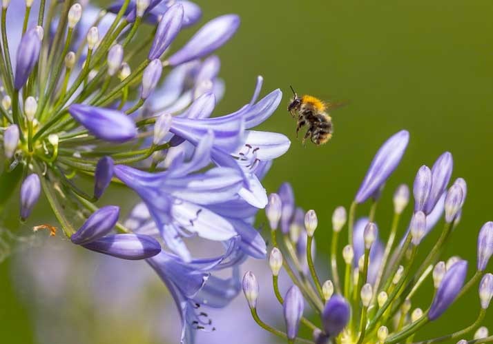 Wenn das innere Auge blind ist – Ursachen und Folgen von Aphantasie Wenn das innere Auge blind ist – Ursachen und Folgen von Aphantasie