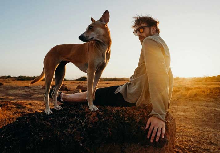 »Ich weiß, was er fühlt«? – Emotionen bei Hund und Mensch »Ich weiß, was er fühlt«? – Emotionen bei Hund und Mensch