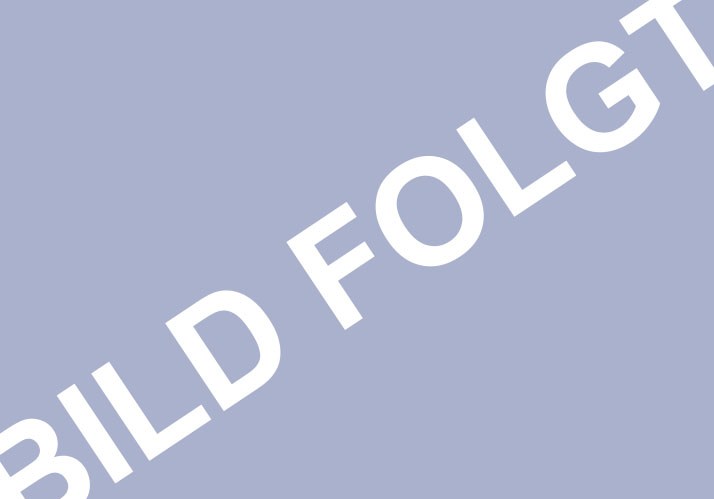 Symposium 2026 | Bedeutungshaftes maschinelles Denken – Zur Entstehung semantisch verankerter Kognition in der KI Symposium 2026 | Bedeutungshaftes maschinelles Denken – Zur Entstehung semantisch verankerter Kognition in der KI