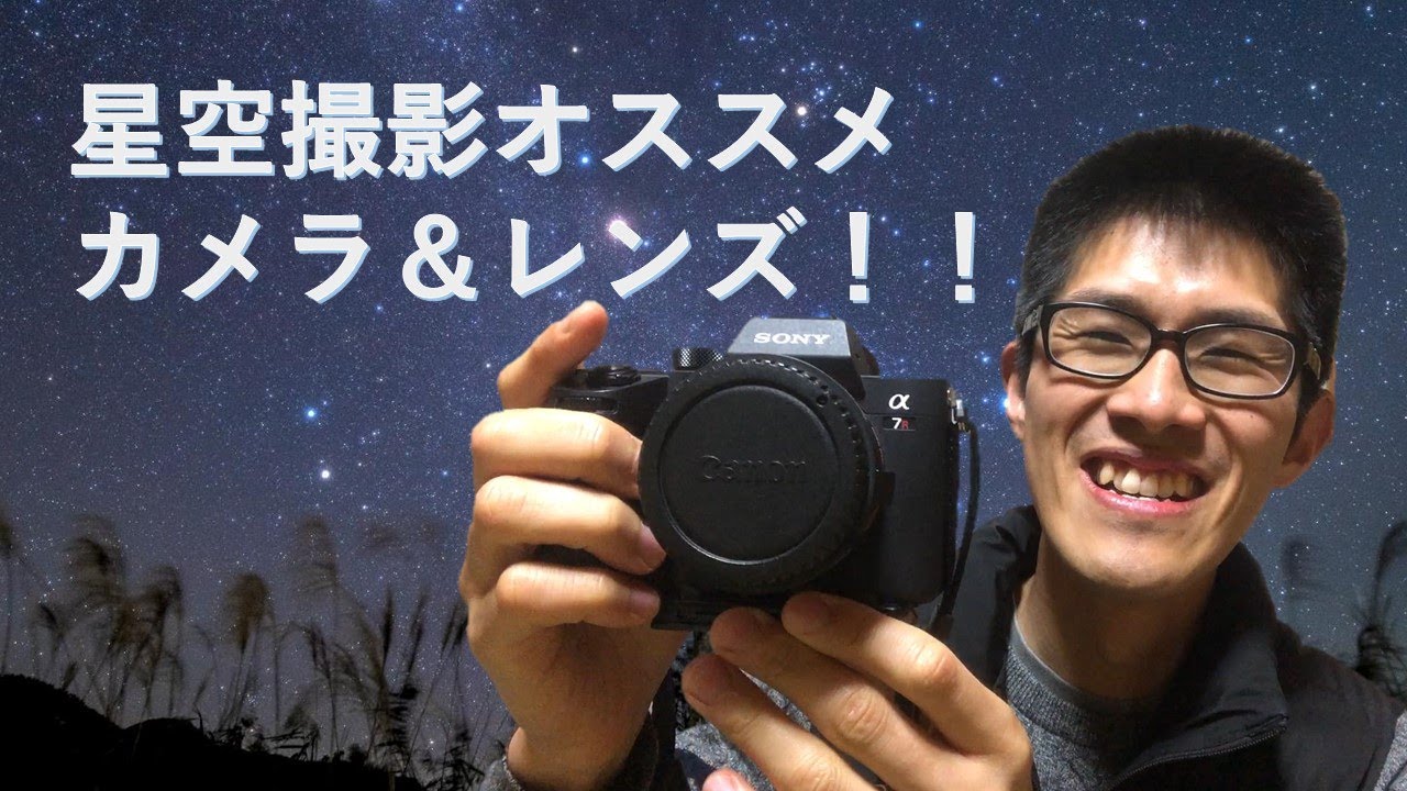 藪の中のミツバチから蜂蜜を集めるのに最適な月は何月ですか? 藪の中のミツバチから蜂蜜を集めるのに最適な月は何月ですか?