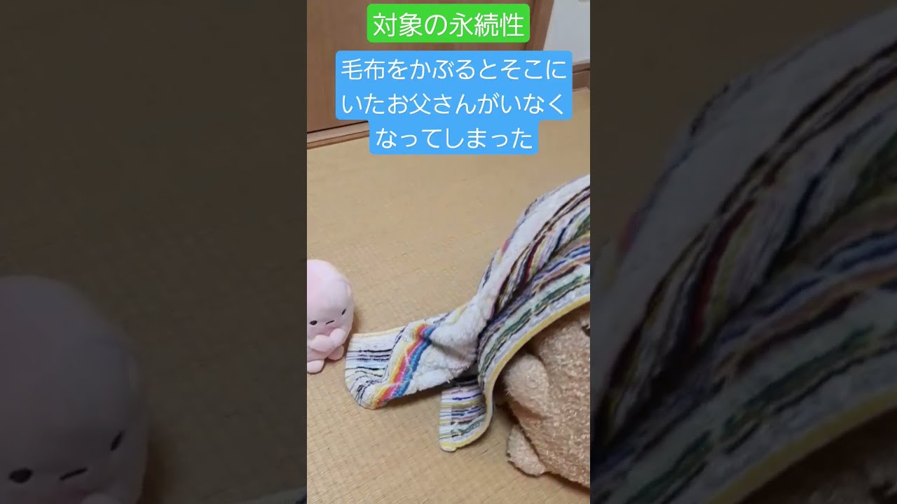 永続性の意味 永続性の意味