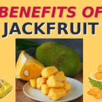 6 Reasons to Eat Jackfruit During Summer 6 Reasons to Eat Jackfruit During Summer
