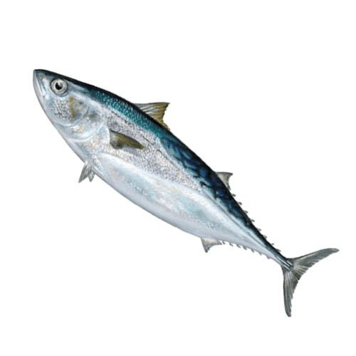 Bodboron 1kg Bodboron 1kg