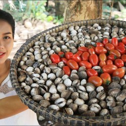 Resep Kerang Dara Rebus: Hidangan Laut Nikmat dan Mudah Dibuat Resep Kerang Dara Rebus: Hidangan Laut Nikmat dan Mudah Dibuat