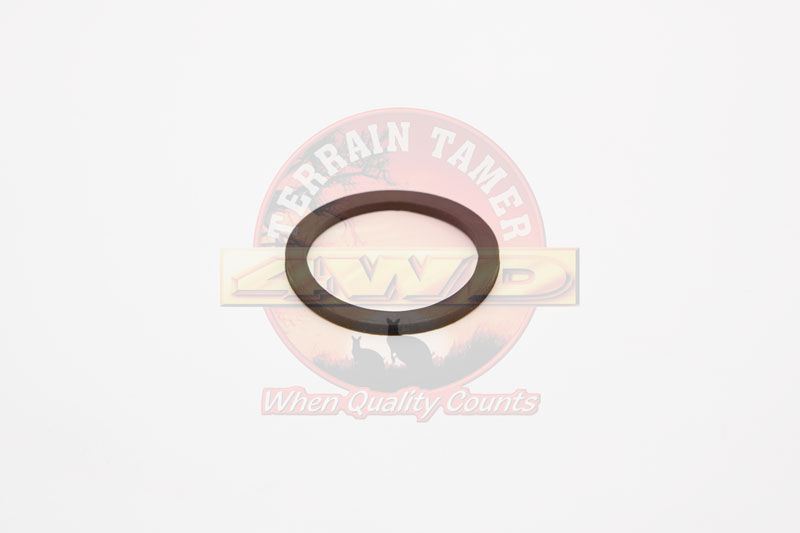 O RING THERMOSTAT