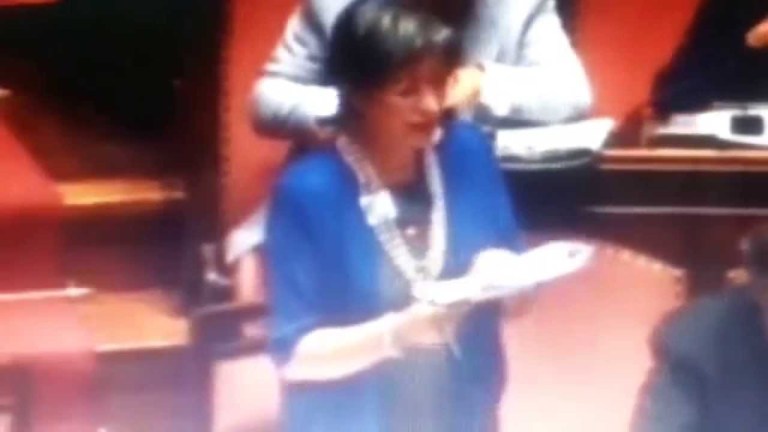 20140714 riforma senato e titolo V costituzione relazione introduttiva sen.Anna Finocchiaro 2 20140714 riforma senato e titolo V costituzione relazione introduttiva sen.Anna Finocchiaro 2