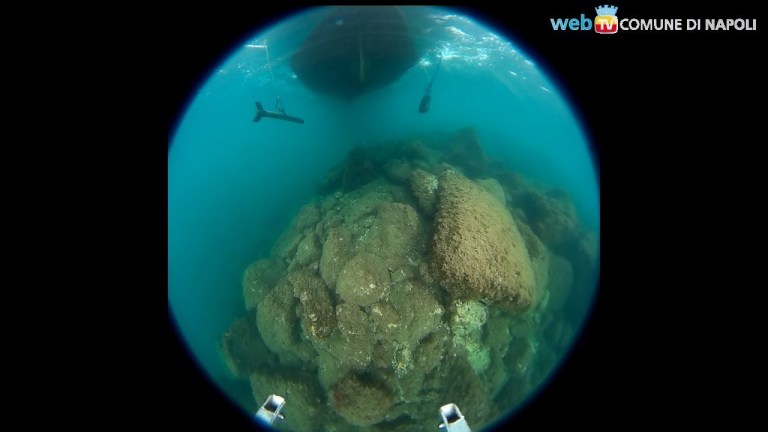 Mare di Napoli: i fondali sono puliti Mare di Napoli: i fondali sono puliti