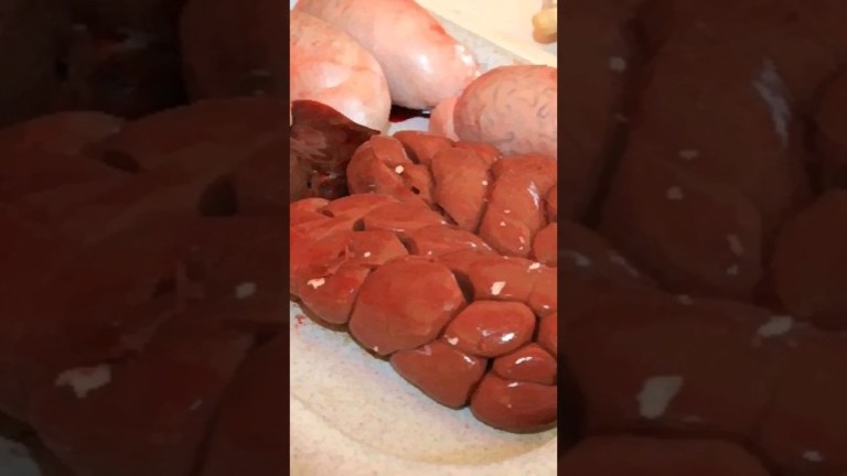 ZANDRAGLIE DI NAPOLI ZANDRAGLIE DI NAPOLI