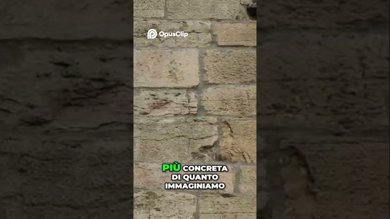 La Verità su Vlad Tepes È sepolto a Napoli La Verità su Vlad Tepes È sepolto a Napoli