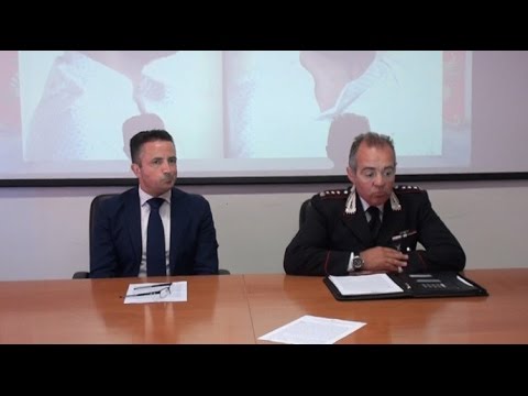 Arrestato durante le nozze, 22enne accusato di aver partecipato alla sparatoria di San Giuliano Arrestato durante le nozze, 22enne accusato di aver partecipato alla sparatoria di San Giuliano