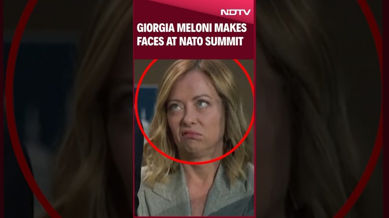 Giorgia Meloni Makes Faces At Nato Summit In Washington DC; Reaction Goes Viral Giorgia Meloni Makes Faces At Nato Summit In Washington DC; Reaction Goes Viral