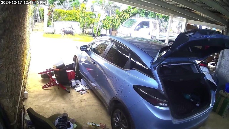 TERREMOTO scuote l’arcipelago di VANUATU: la scossa fa traballare auto e alberi TERREMOTO scuote l’arcipelago di VANUATU: la scossa fa traballare auto e alberi