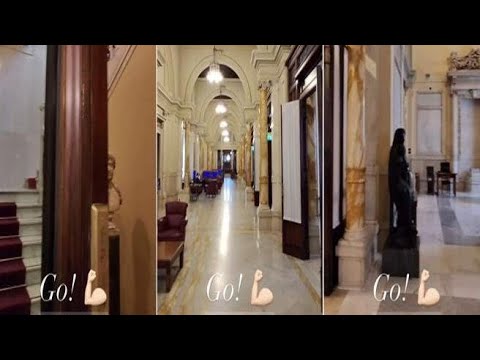 Caso Boccia, i video all’interno di Montecitorio pubblicati su Instagram Caso Boccia, i video all’interno di Montecitorio pubblicati su Instagram